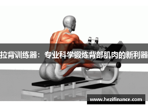 拉背训练器：专业科学锻炼背部肌肉的新利器